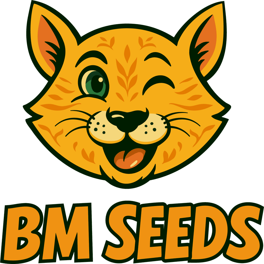 BM-Seeds-Logo mit zwinkernder Katze